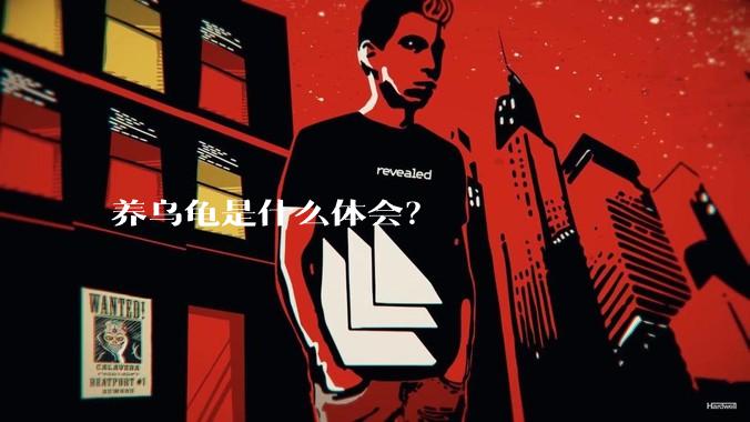 养乌龟是什么体会？