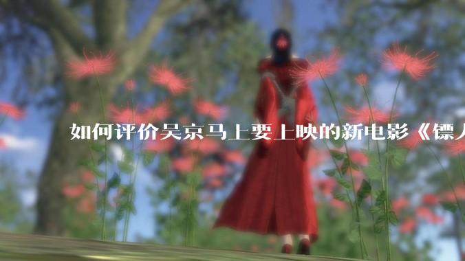 如何评价吴京马上要上映的新电影《镖人》？