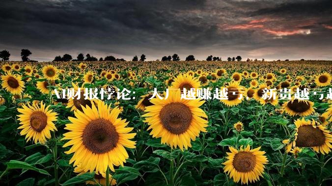 AI财报悖论：大厂越赚越亏，新贵越亏越贵？_亏损_账面收入_业务