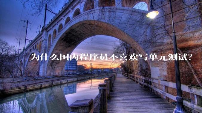 为什么国内程序员不喜欢写单元测试？