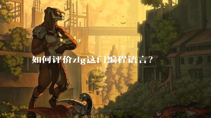 如何评价zig这门编程语言？